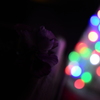 ☆illumination☆