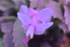 そっと…