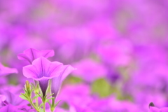 優しさに包まれて♡