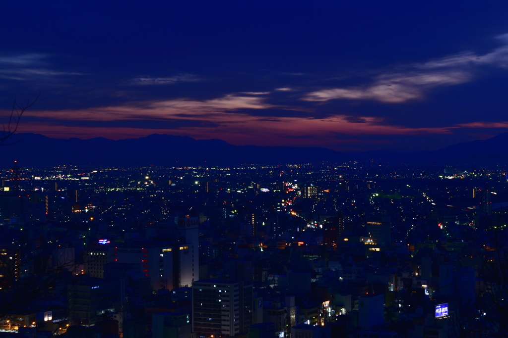 金華山からの夜景