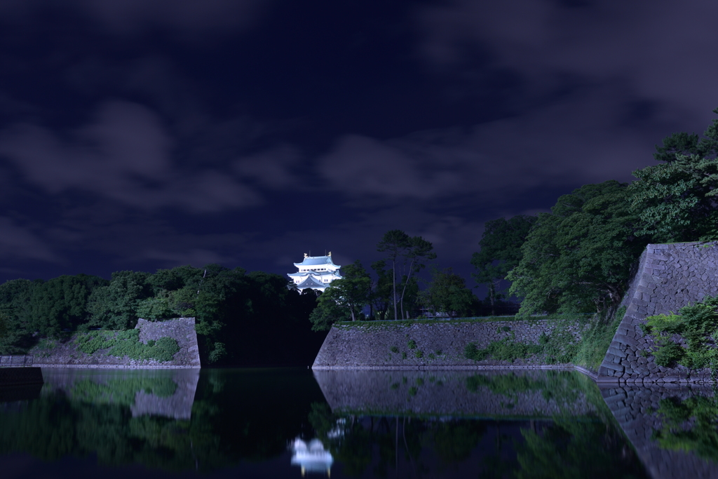 ☆夜の名古屋城☆