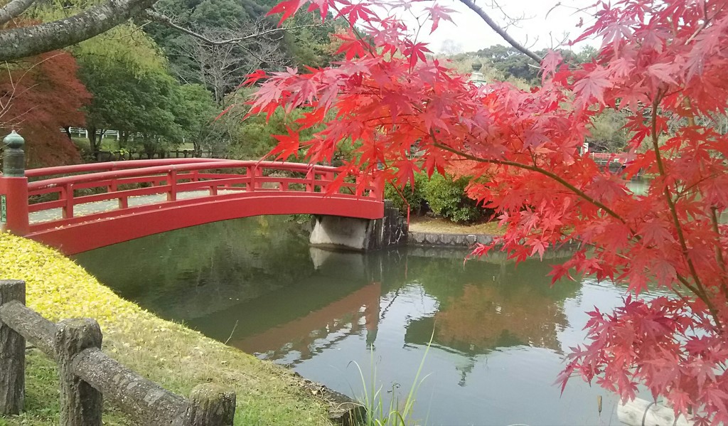 穏やかな秋の日♪