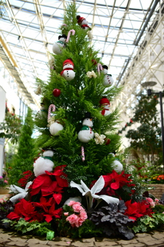 クリスマスツリー☆