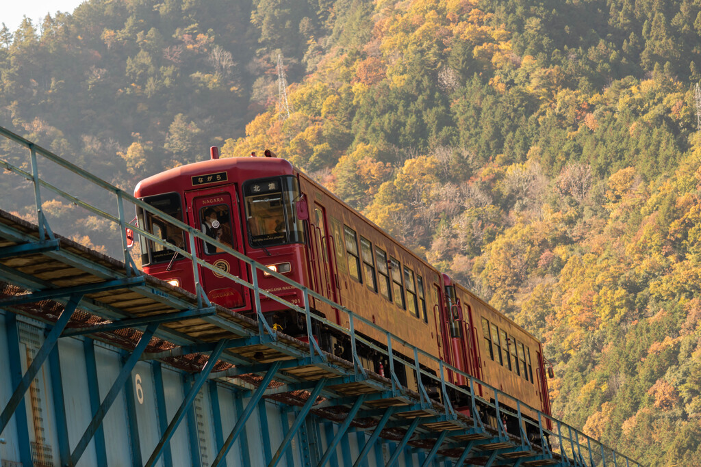 観光列車「ながら」