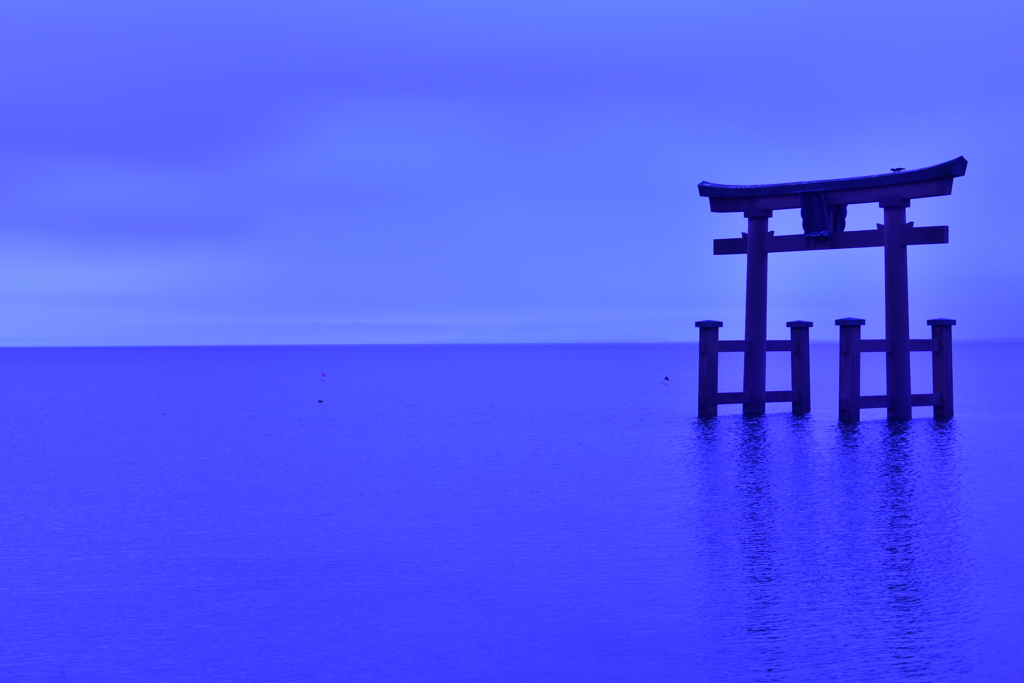 2017年5月　白髭神社の夜明け