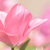 ふんわりと♡
