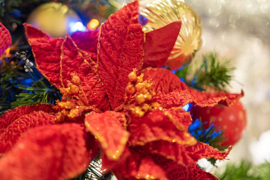 Merry Christmas(*^^*)