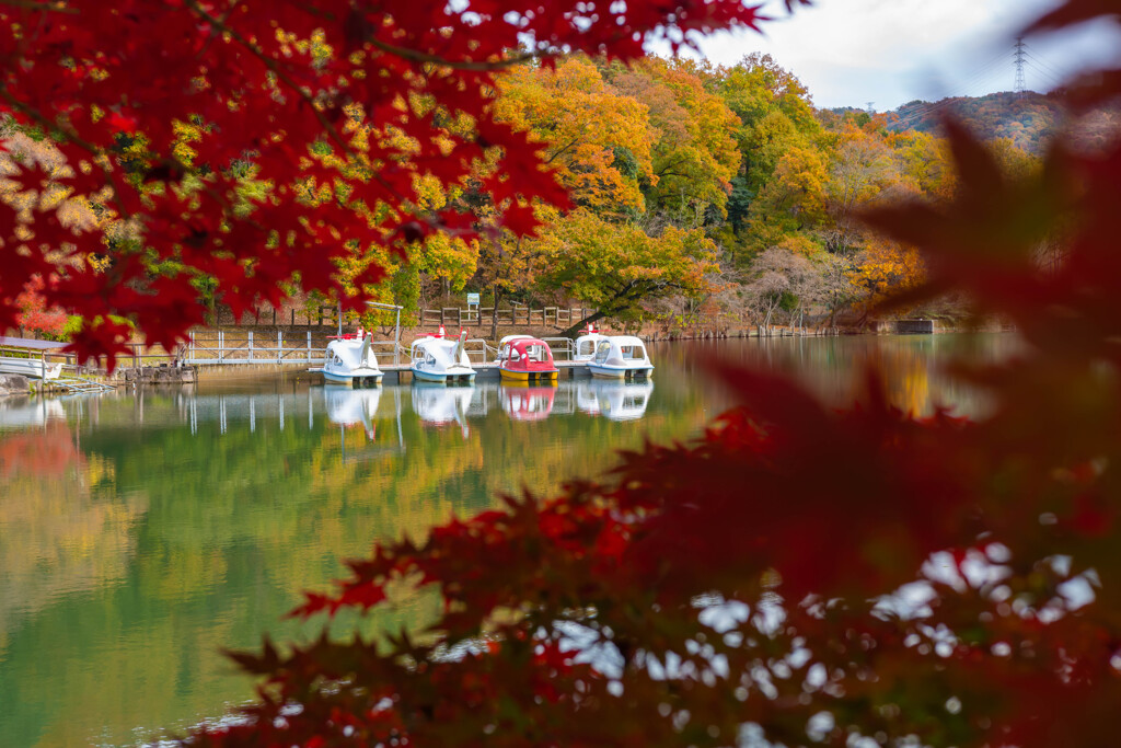 紅葉の季節