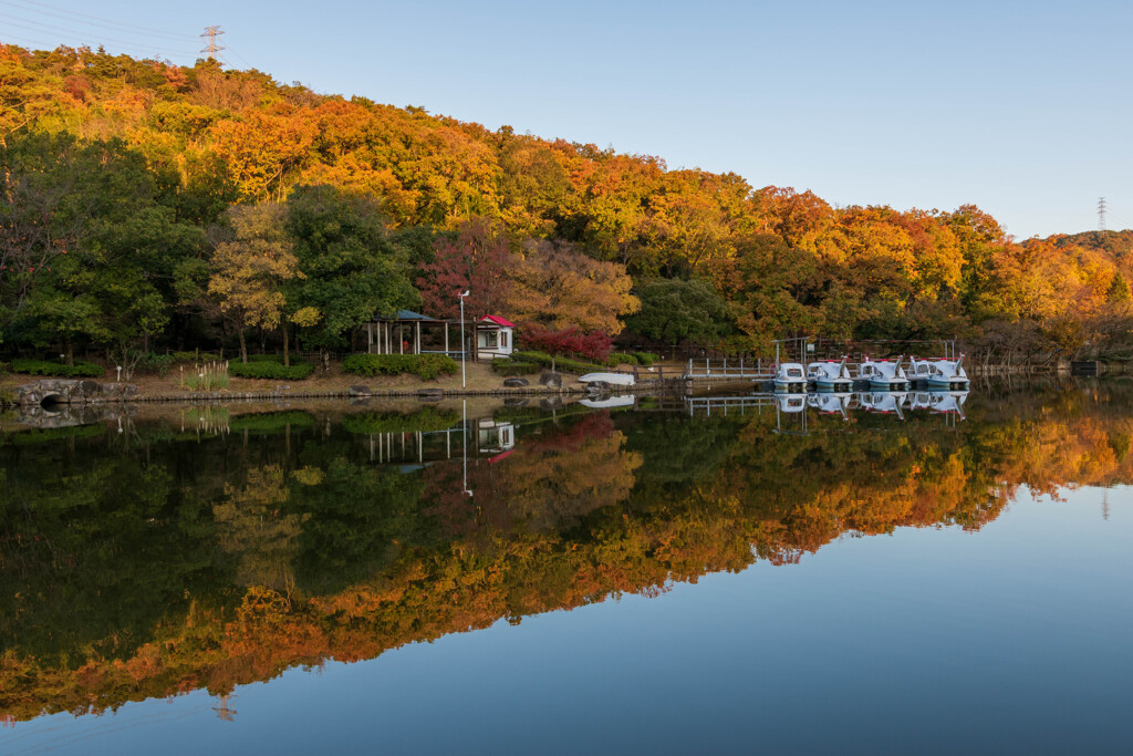 ボート池の景色