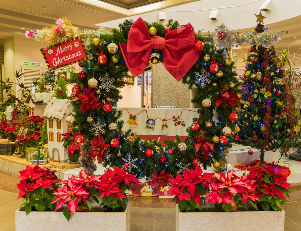 クリスマスを待つ植物園②