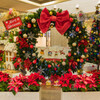 クリスマスを待つ植物園②