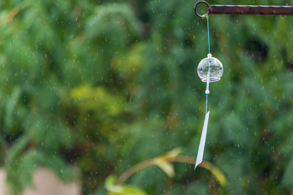 雨に濡れて