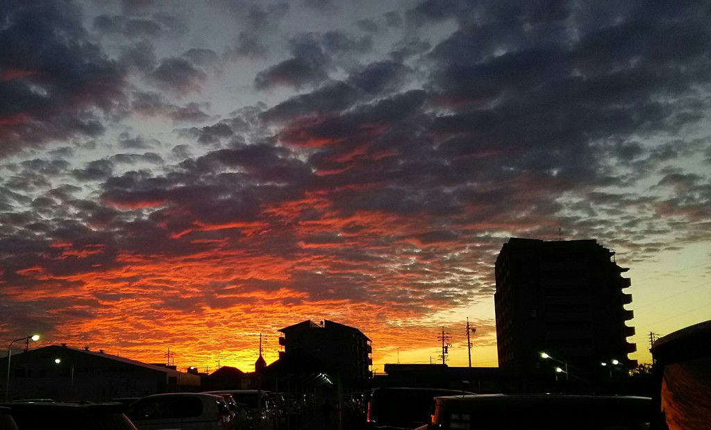 今日の夕焼け♪