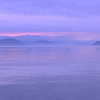 琵琶湖の朝