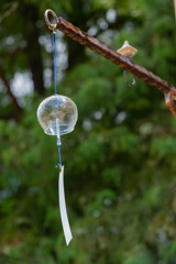 雨も上がって♪