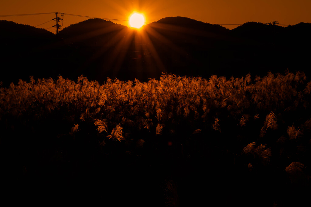 夕暮れ色
