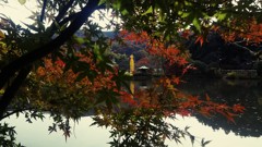 定光寺公園の紅葉