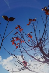 12月の空