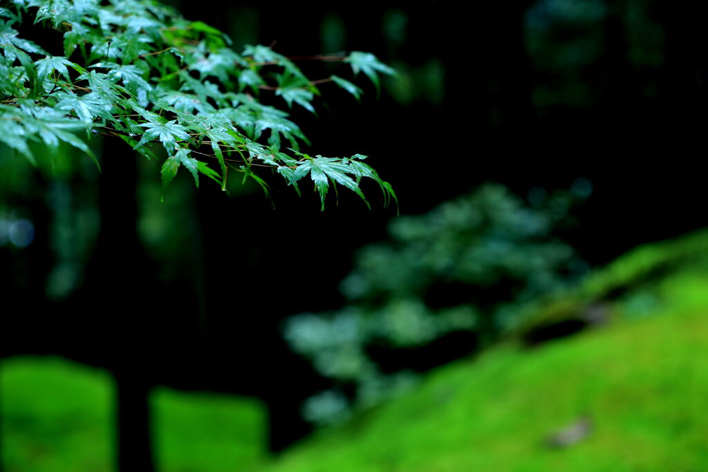 潤い