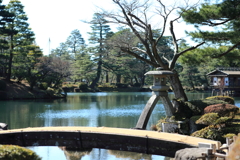 庭園