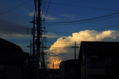 夏の帰りに