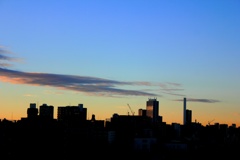 朝