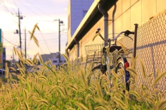 日常の夕方