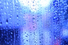 窓の雨