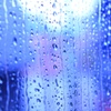 窓の雨