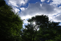 青空☆