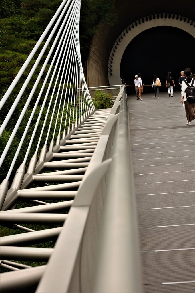 MIHO MUSEUM 2