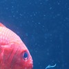 水族館　楽しい(^.^)