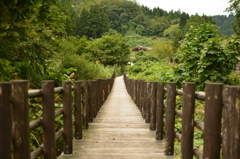 この道の先は。