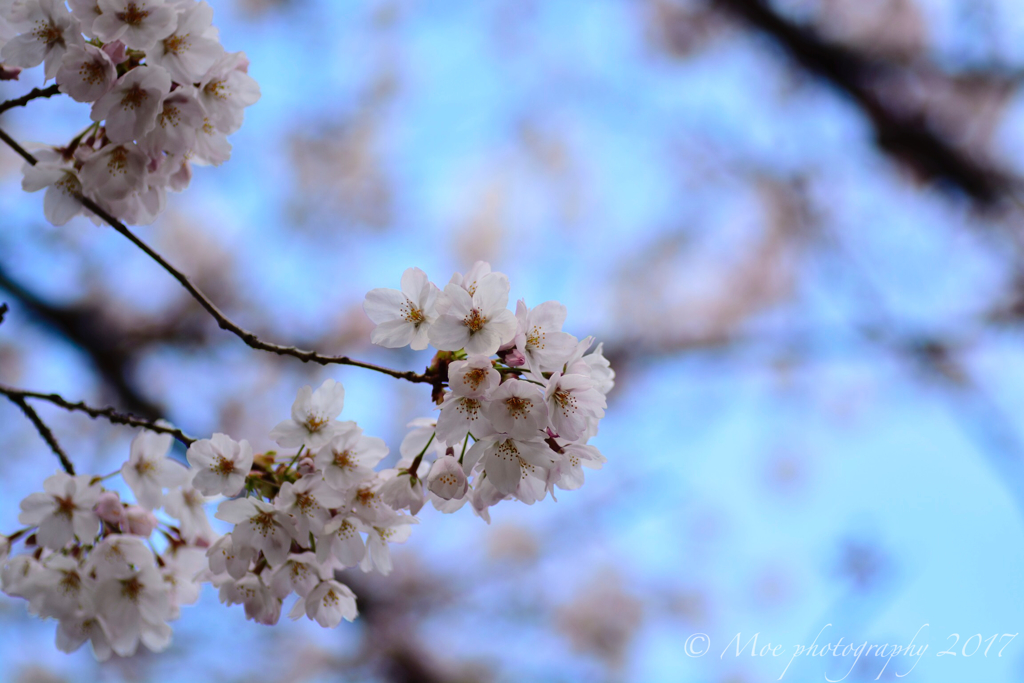 春空