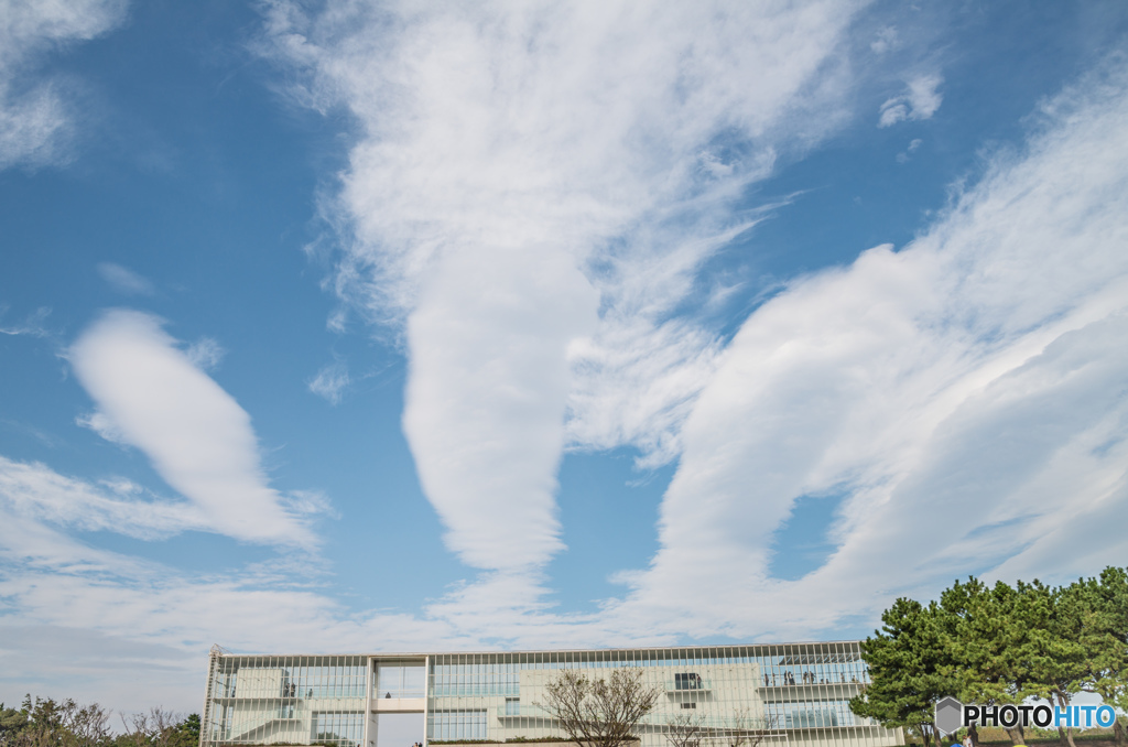 線雲