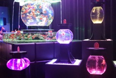 アートアクアリウム2016in大阪