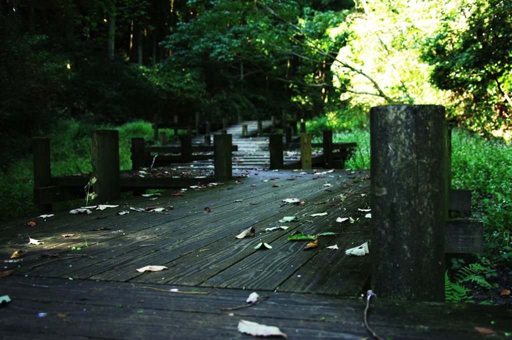 オフシーズンの空気