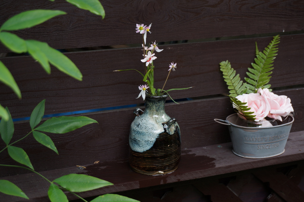 お庭の花で「お出迎え」