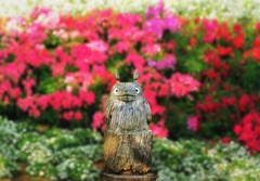 春のTOTOROとこんにちは