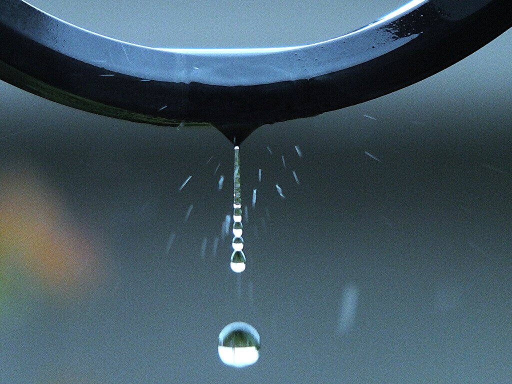 雨の日の「ぴろろん雫」