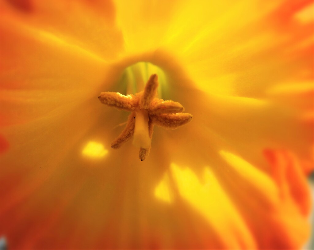 center