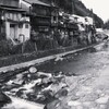 旅の思い出ー郡上八幡を流れる川