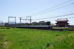 平城京を走る