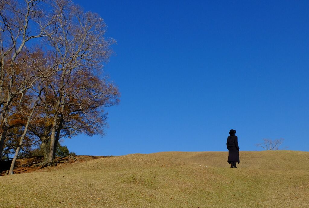 飛火野