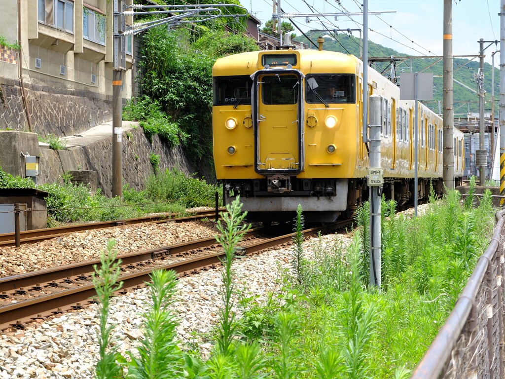 山に沿って 海に沿って