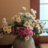 白菊香る
