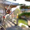 待ち遠しい日々