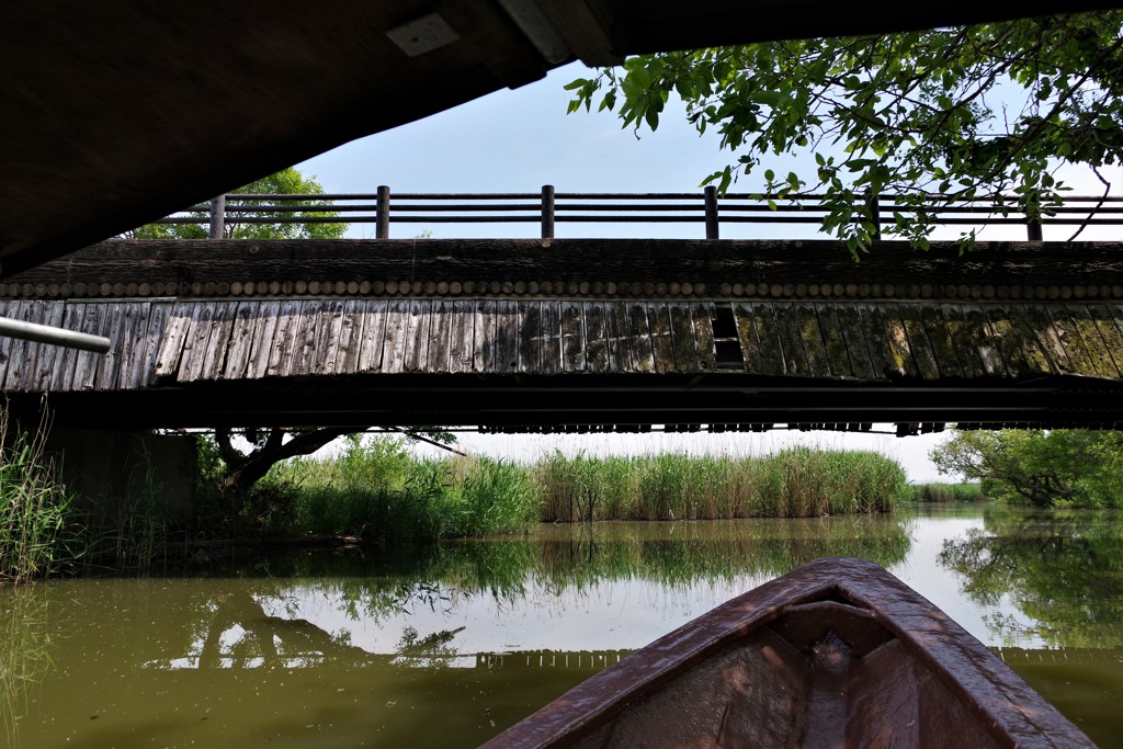 水郷をゆく Ⅱ