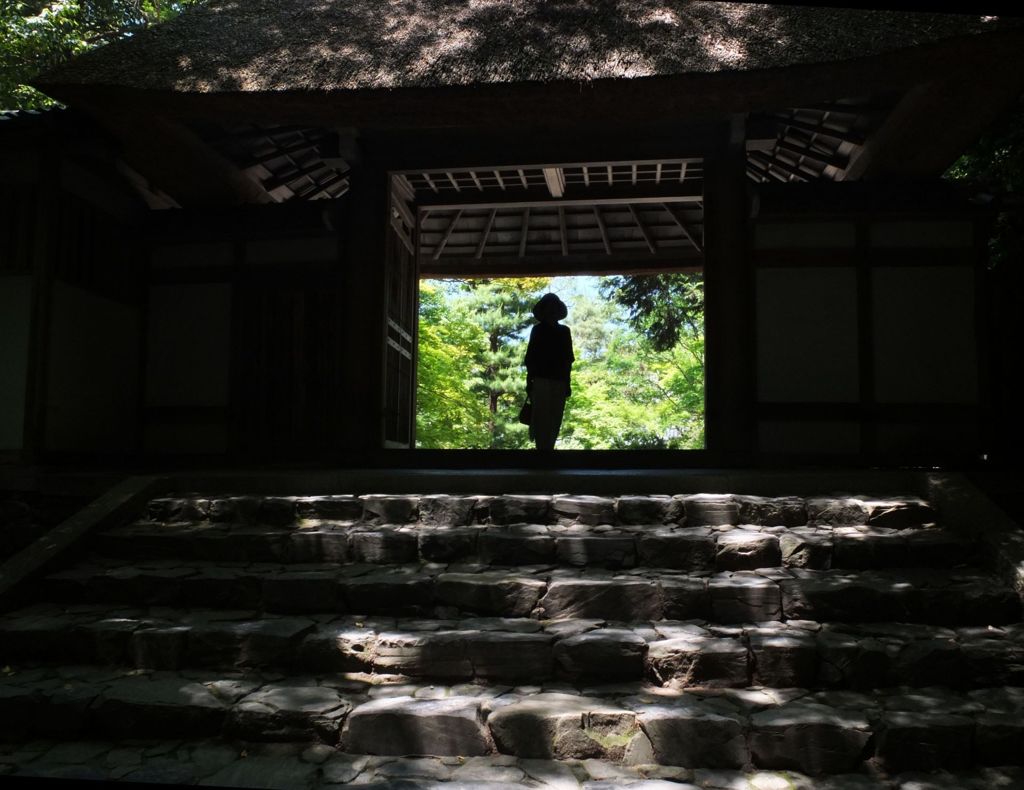 木漏れ日の山門