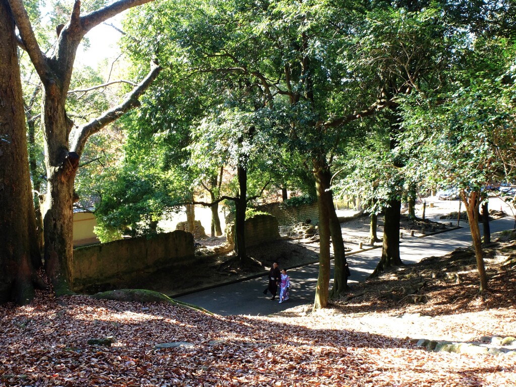 のんびり奈良公園